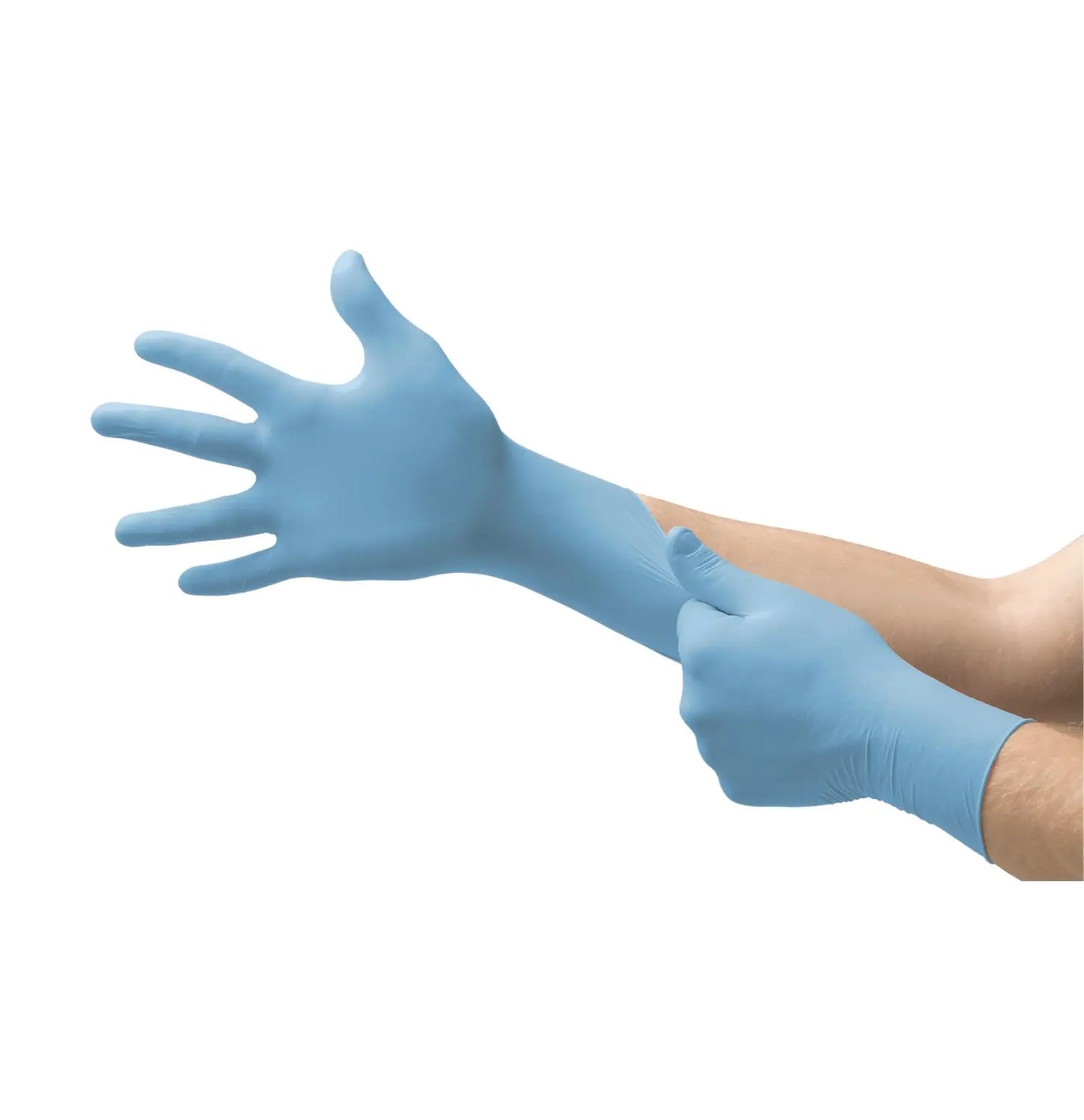 AMMEX® PROFESSIONAL PF NITRILE GLOVES (BLUE)